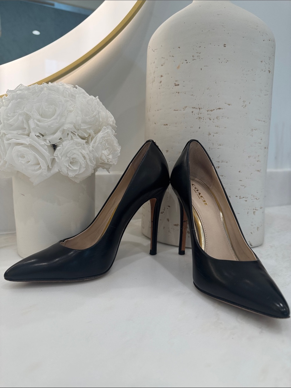 Coach Black Leather Pointed-Toe Stiletto Heels